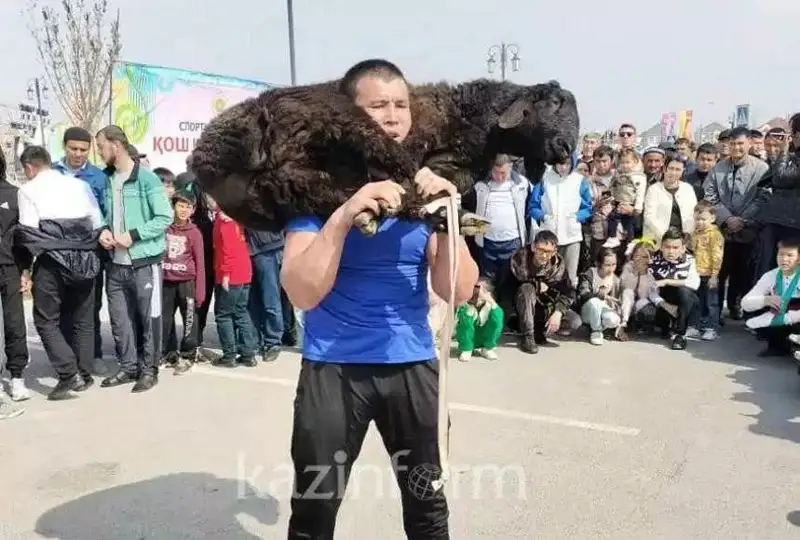 Наврўз байрами: Туркистон вилояти турғуни 55 килограммлик қўчқорни 303 марта кўтарди