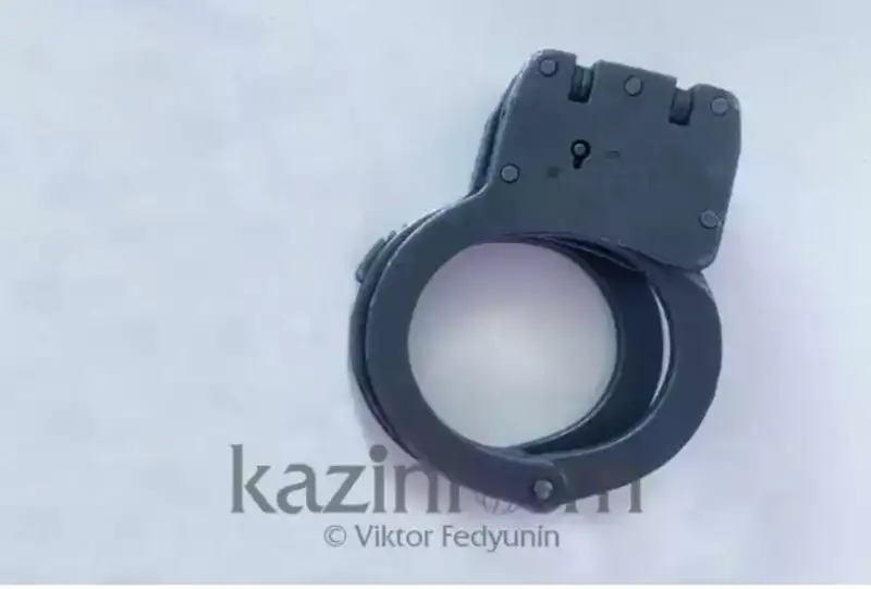 حالىقارالىق ىزدەۋدە جۇرگەن گەرمانيا ازاماتى پاۆلوداردا ۇستالدى
