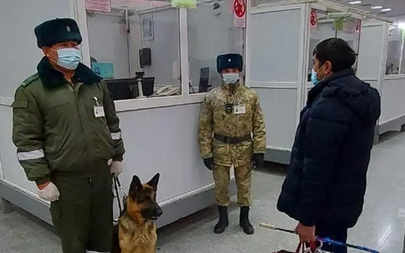 Қозоғистон чегарасида Ўзбекистон фуқароси гиёҳванд модда билан  қўлга олинди