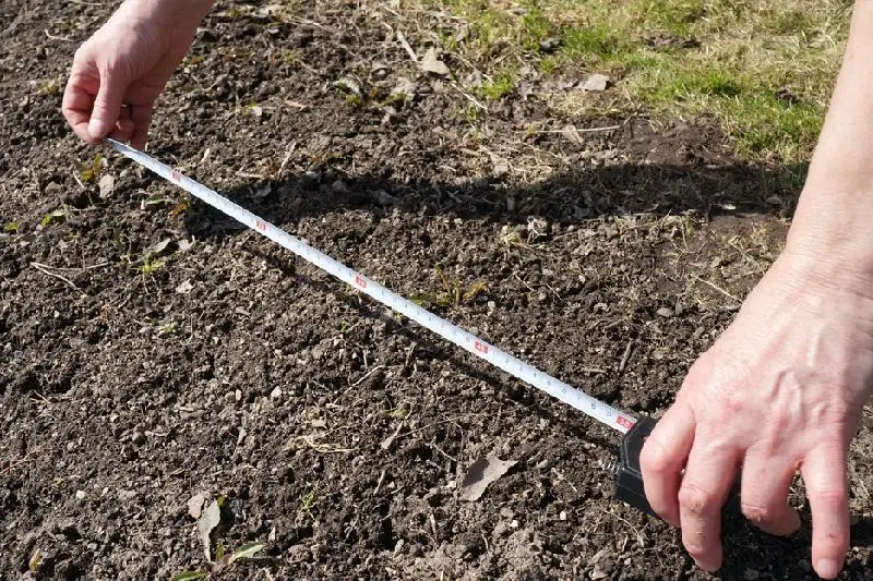 Шимолий Қозоғистон вилоятида 670 минг га ер давлатга қайтарилди