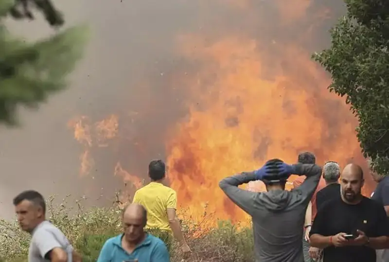 Испанияда ўрмон ёнғини туфайли 8 қишлоқ аҳолиси эвакуация қилинди