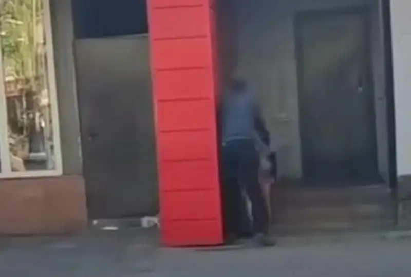 Избиение женщины в Талдыкоргане: полиция ищет потерпевшую и очевидцев