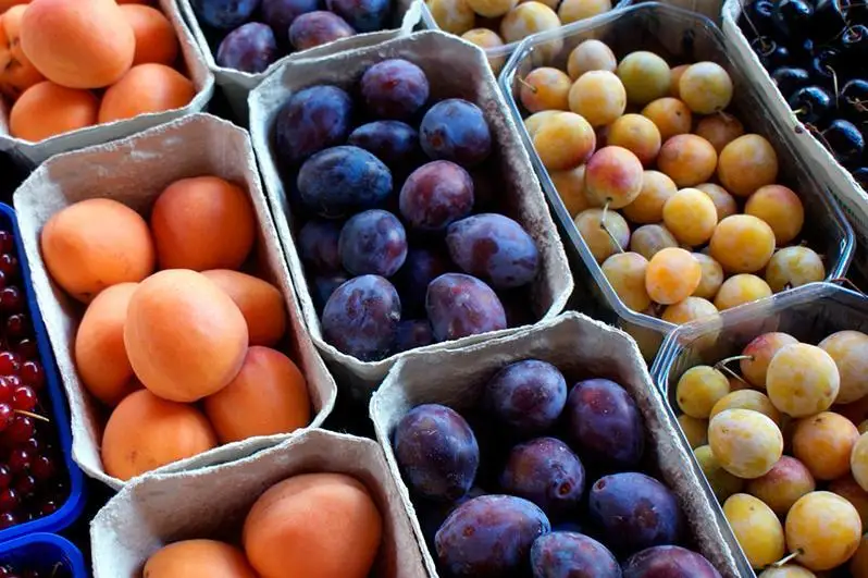 Қозоғистон Хитойдан баъзи мевалар импортини вақтинча тўхтатди