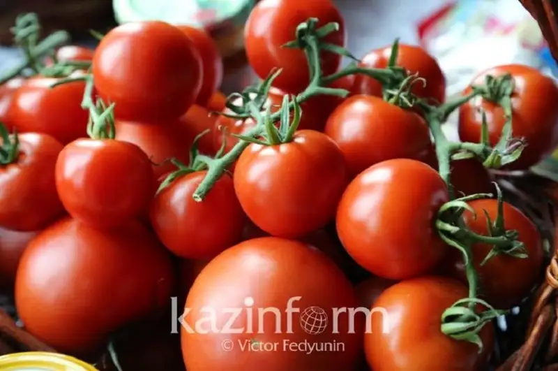 Причину подорожания огурцов и помидоров объяснил глава Минсельхоза РК