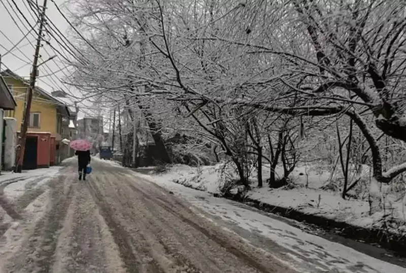 Кучли қор ёғиши Ҳиндистон шимолининг бир қисмини фалаж қилмоқда