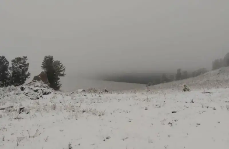 Снег выпал в ВКО