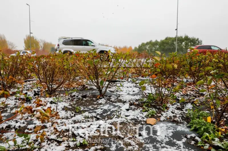 Дам олиш кунларида Қозоғистоннинг шимоли ва шарқида қор аралаш ёмғир ёғади