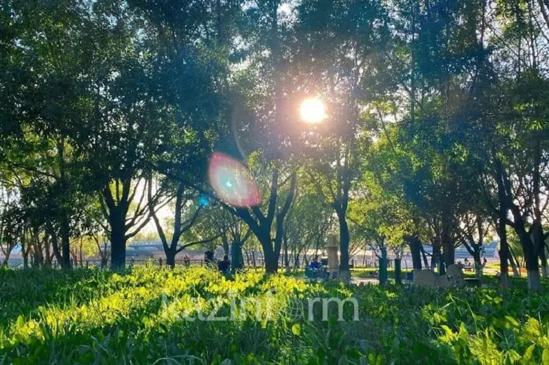 الداعى كۇندەرى رەسپۋبليكانىڭ كەيبىر وڭىرلەرىندە كۇن 45 گرادۋسقا دەيىن ىسيدى