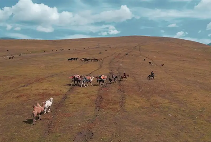 جەكەنگە ەرىپ، قازاق مالشىلارىنىڭ كوشى- قونىمەن تانىسايىق - شەتەلدەگى قازاق ءتىلدى ب ا ق- قا شولۋ