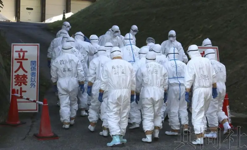 日本境内时隔3年再现高致病性禽流感疫情
