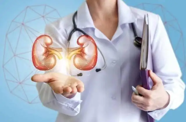 دارىگەر بۇيرەككە زيان ادەتتەر ءتىزىمىن اتادى