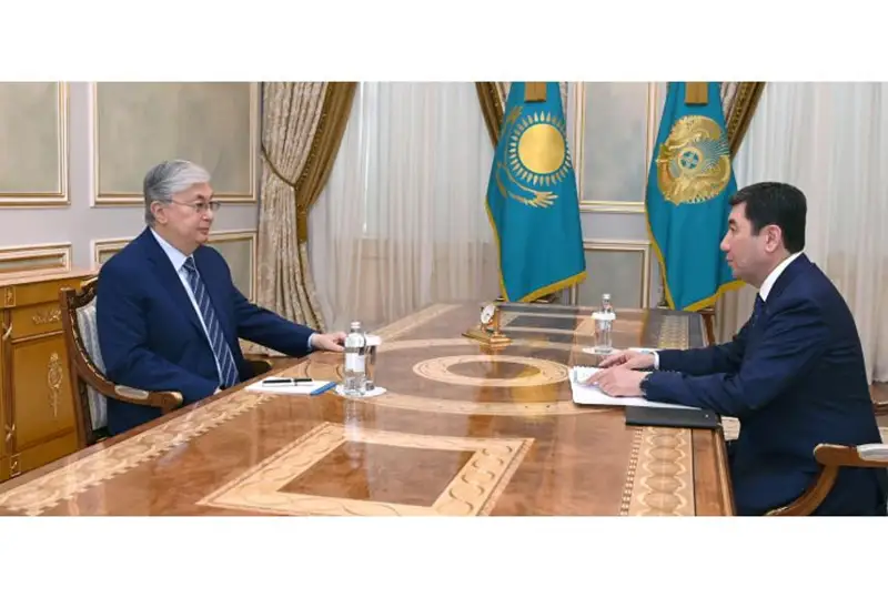 Президентке конституциялық реформаларға қатысты заң шығару жұмыстары жөнінде баяндалды