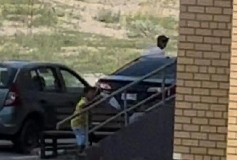 اباي وبلىسىندا بالانى اڭدىعان ەر ادامنىڭ ارەكەتى تەكسەرىلدى