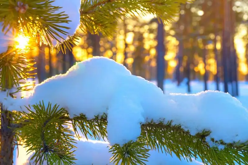 Какая погода ожидается в выходные в Казахстане