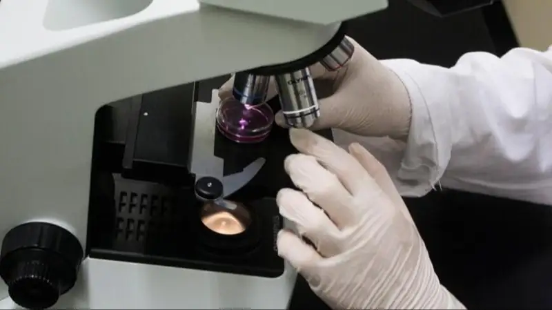 АҚШда микроробот ишлаб чиқилди