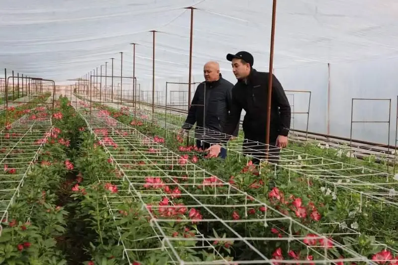 Saryaǵashtyqtar úı irgesindegi baqshaǵa gúl egip, kól-kósir paıdaǵa kenelip otyr