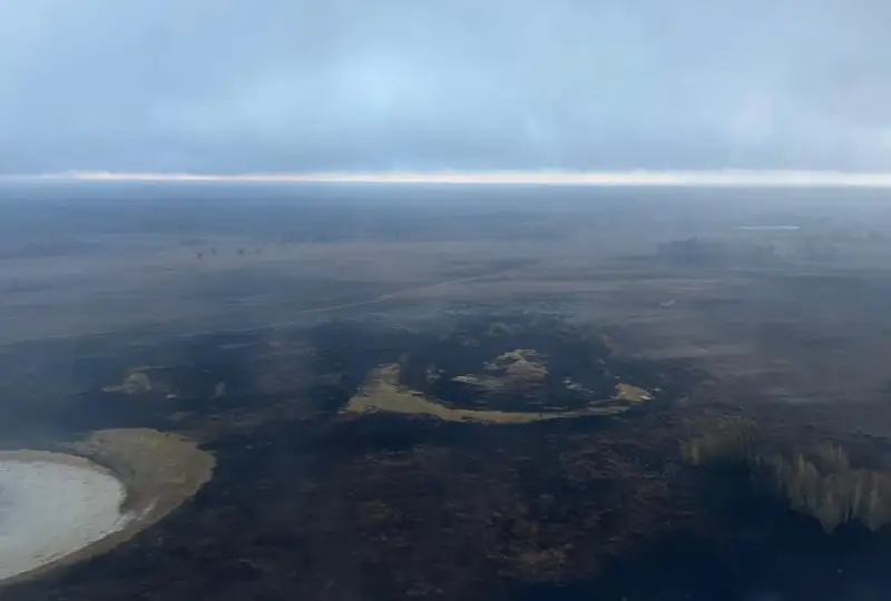 اۋليەكول اۋدانىنداعى ورماننىڭ باسىم بولىگى كۇلگە اينالدى - قوستاناي وبلىسىنىڭ اكىمى