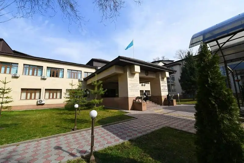 哈萨克斯坦新冠患者或将获得康复援助