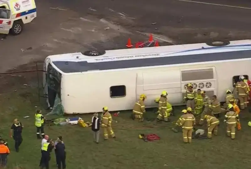 Австралияда мактаб автобуси ҳалокатга учраб, болалар оғир жароҳат олди