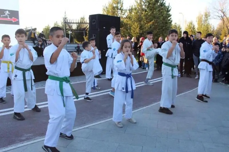 استانالىقتار ءۇشىن سپورتتىڭ 5 تۇرىنەن تەگىن جاتتىعۋلار وتكىزىلىپ جاتىر