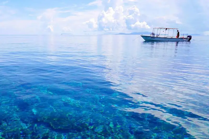 ЮНЕСКО океанлар дунёсини ўрганишга кўпроқ эътибор қаратмоқчи