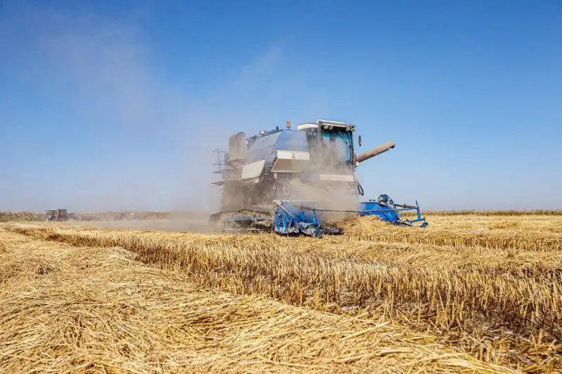 Туркия Қозоғистон агросаноат комплексига 200 млн доллар сармоя киритади