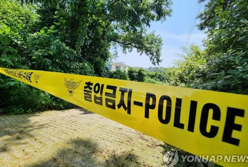 Жанубий Кореяда 1000 га яқин «шарпа чақалоқлар» ҳолати текширилмоқда