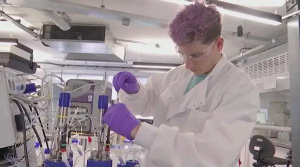 بريتاندىق عالىمدار قورشاعان ورتاعا زيانى جوق پلاستيك جاساپ شىعارماق