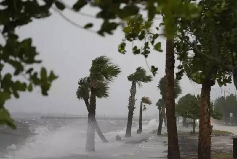 Флоридага яна бир довул яқинлашмоқда