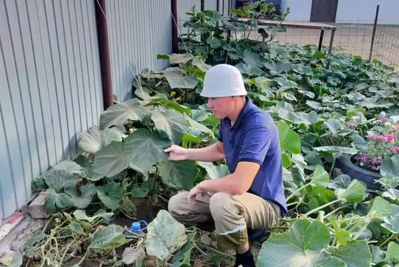 اتىراۋلىق جىگىت گرانت الىپ، كاليفورنيالىق قۇرت ءوسىرىپ وتىر