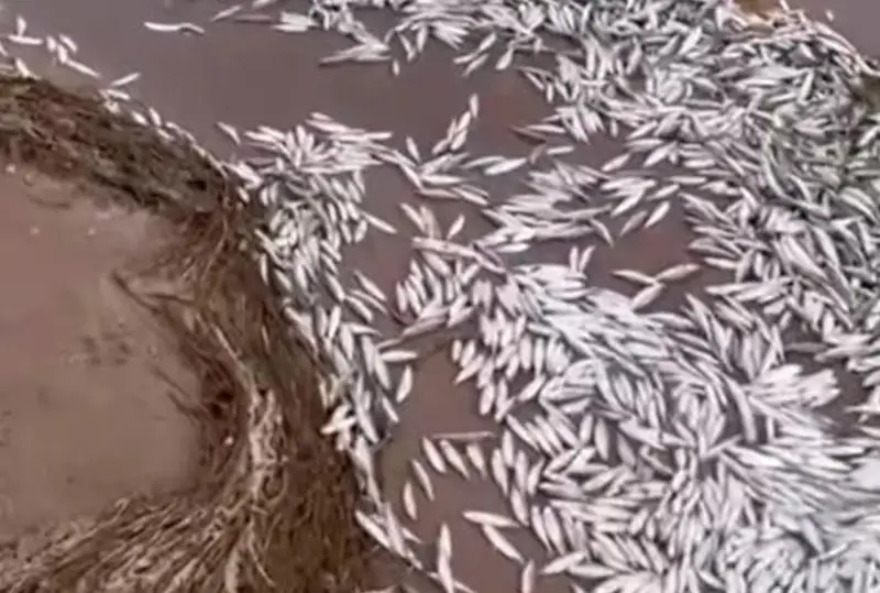 قاپشاعاي سۋ قويماسىندا شاباقتار قىرىلىپ قالدى