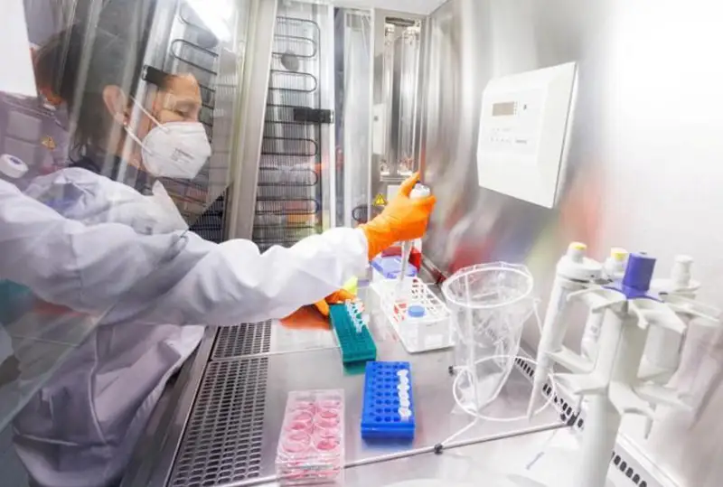 Вашингтонда маймун чечаги билан касалланганлар кўпайиб бормоқда