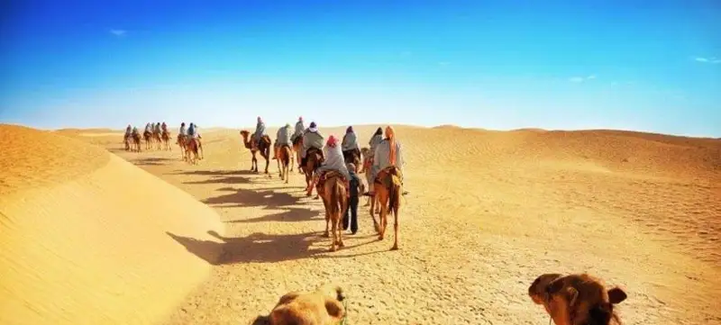 Туризмни тиклашда Европа ва Америка етакчилик қилмоқда