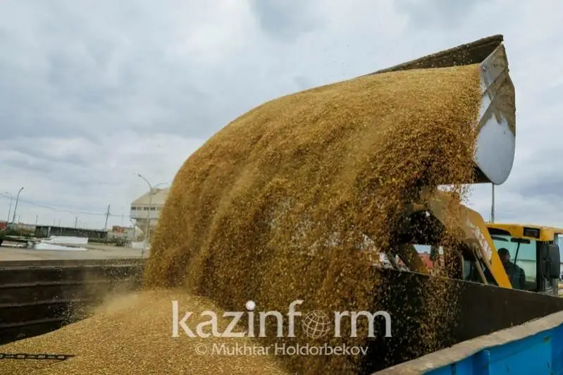 Қозоғистон бу йил Aфғонистонга ғалла экспорт қиладими