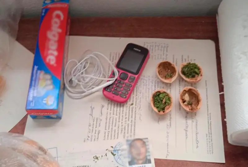 Партию наркотиков в грецких орехах пытались доставить в колонию ВКО