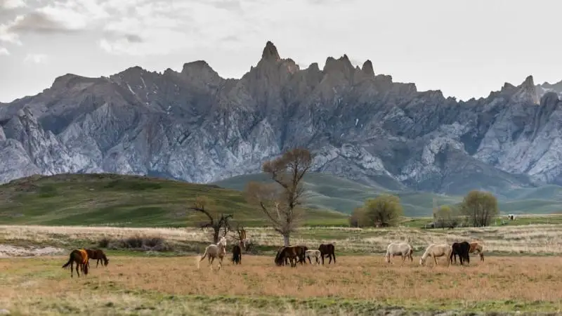 «قارعىسقا قالعان قالىڭدىق تاۋى». سوزاق اۋدانى جايلى قانداي اڭىزداردى بىلەمىز؟