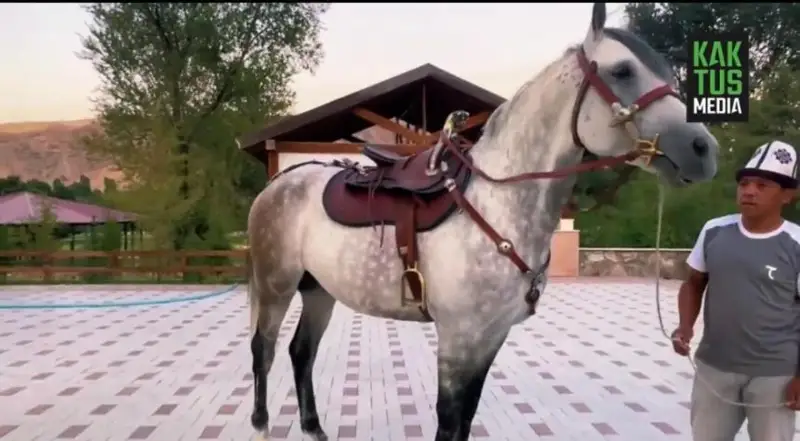 قىرعىز ەلىنىڭ پرەزيدەنتى قازاق اقىنىنا ات مىنگىزدى