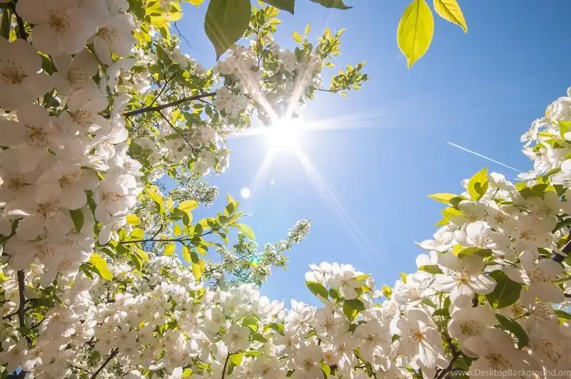 Яқин кунларда Қозоғистонда ҳаво исиши кутилади