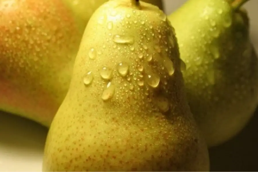 Ішекке ең пайдалы жеміс 