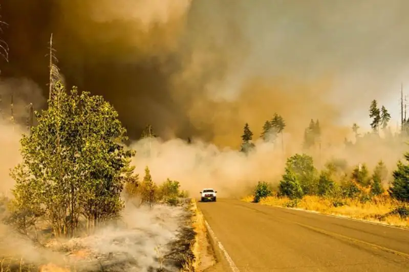БМТ огоҳлантиради: Глобал исиш жадаллашмоқда