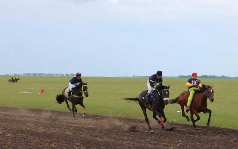 Қозоғистонда миллий спорт турлари бўйича «Қызылжар-2022» фестивали бўлиб ўтди