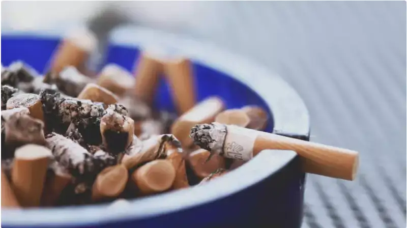 بالكوندا تەمەكى شەگۋگە بولا ما؟