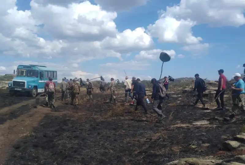 شىعىس قازاقستاندا 42 گەكتارعا جايىلعان الاپات ءورت اۋىزدىقتالدى