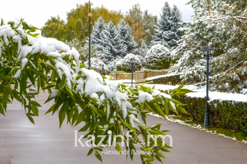 الماتىدا اياز بەتى قاشان قايتادى