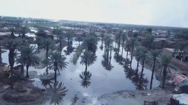 پاكىستاندا قۇرما قۇردىمعا كەتتى