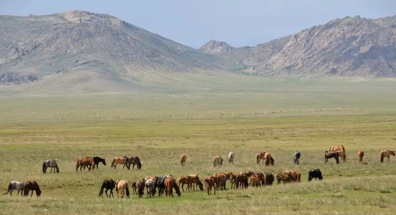 التايدان بۇيىرماعان توپىراق