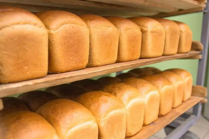 Буғдой нархи ошса ҳам нон нархи барқарор бўлиб қолади – ҚР Қишлоқ хўжалиги вазири