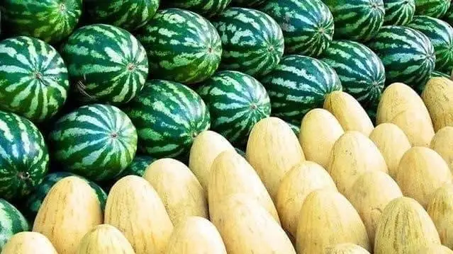 Ўзбекистон Қозоғистонга  33,1 минг тонна қовун-тарвуз экспорт қилган