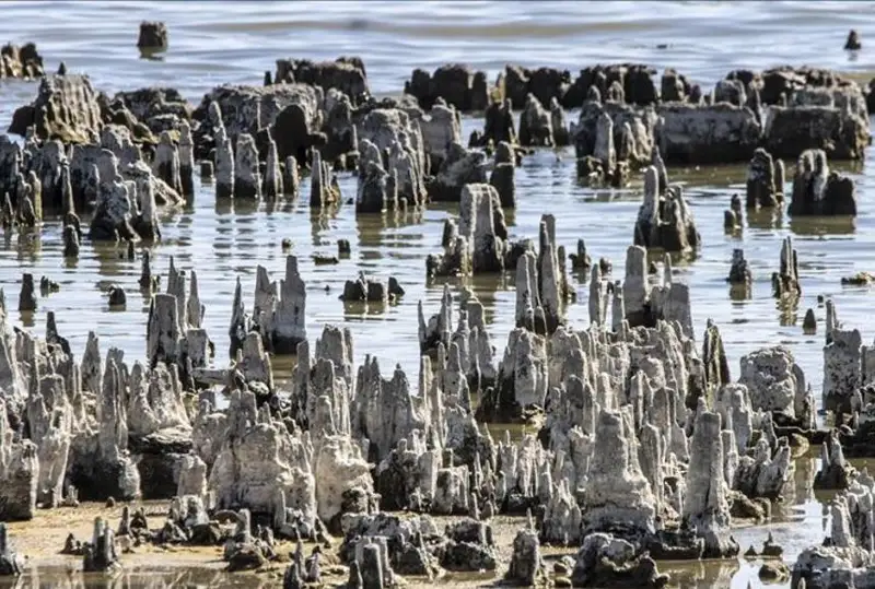 В Турции стремительно падает уровень озера Ван