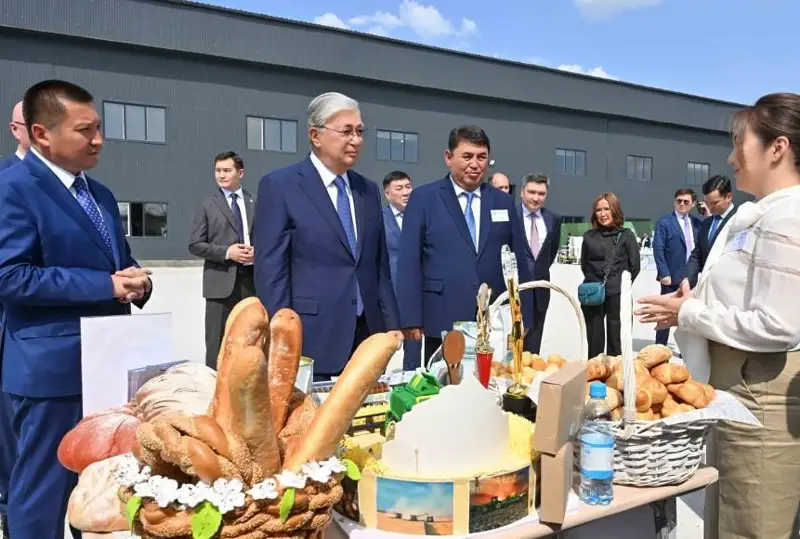 ҚР Президенти Павлодар вилояти корхоналарида ишлаб чиқарилаётган маҳсулотлар билан танишди